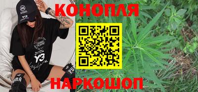 стафф Славгород
