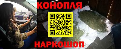 стафф Славгород
