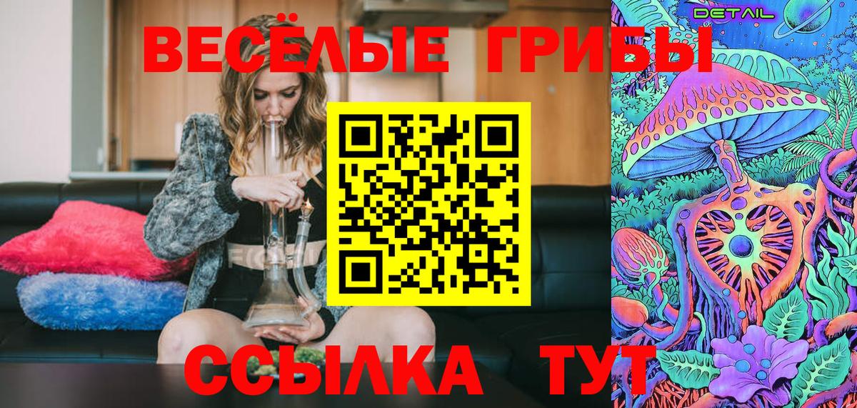 Саратов  Галлюциногенные грибы Psilocybe  Вход с VPN 