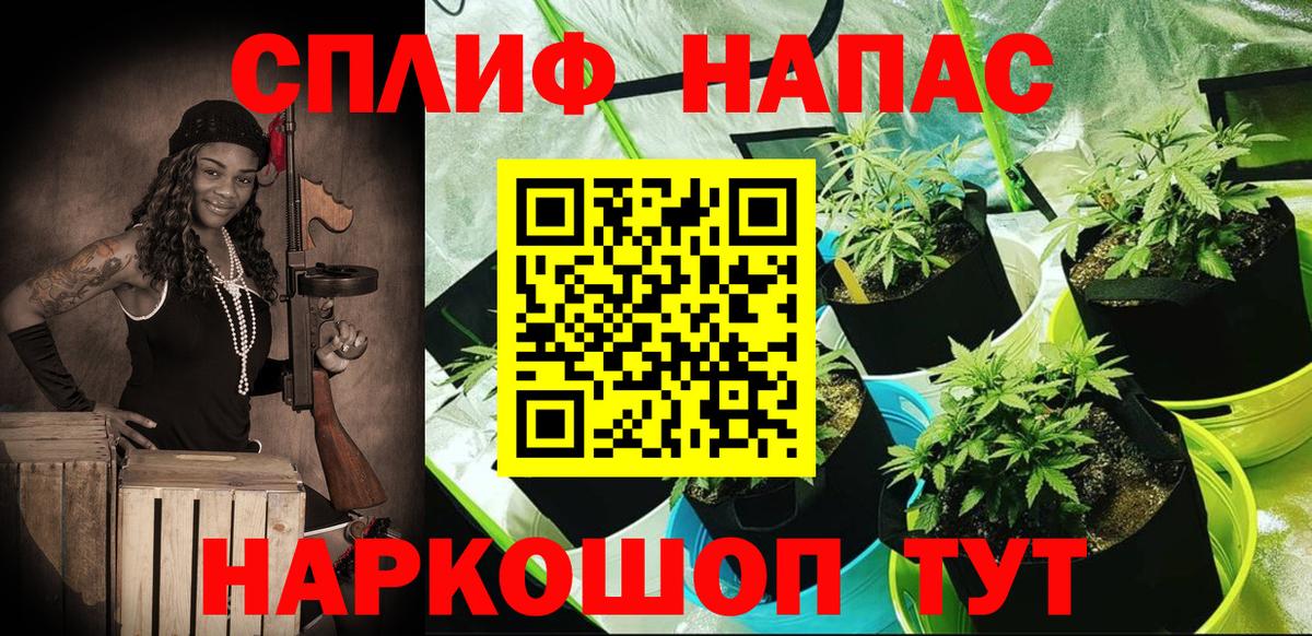 МАРИХУАНА MAZAR  Шишки марихуана план  Саратов  Вход с VPN  Канабис марихуана  Бошки Шишки тримм 